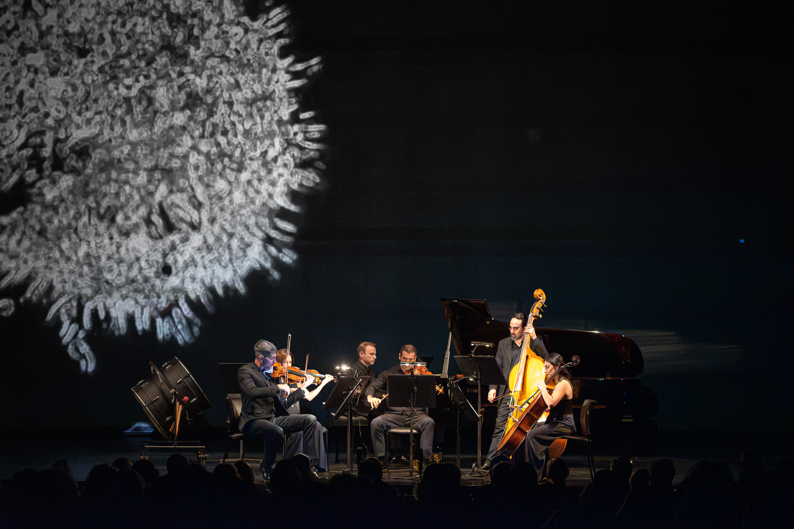 camerata docta 39